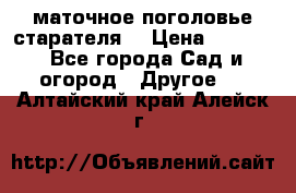 маточное поголовье старателя  › Цена ­ 3 700 - Все города Сад и огород » Другое   . Алтайский край,Алейск г.